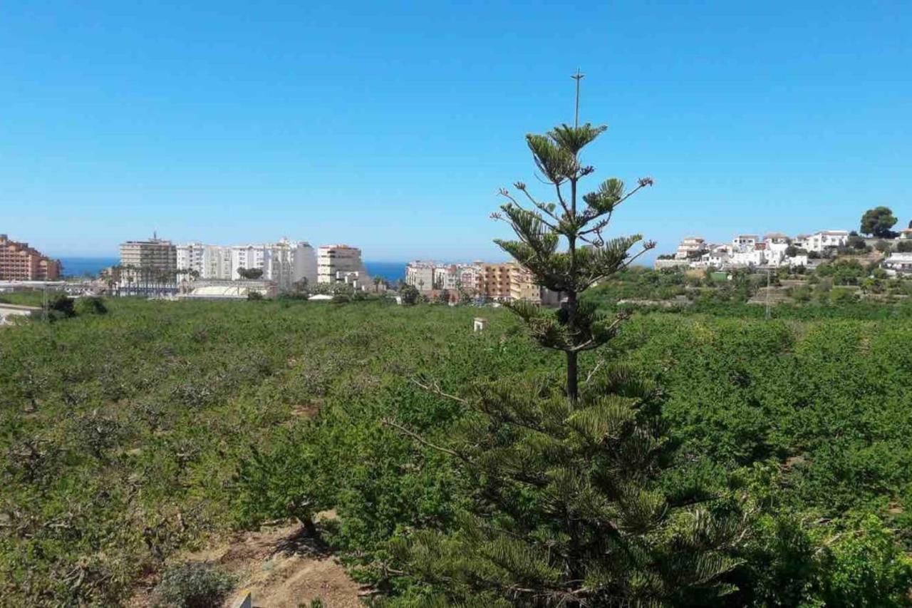 Apartamento Costa del Sol Almunecar Exterior foto